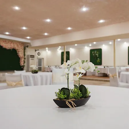 Hotel International Of Scientists Joliot Curie Sveti Konstantin